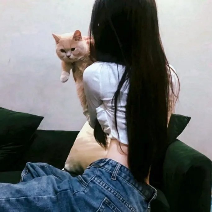 盐与火之歌